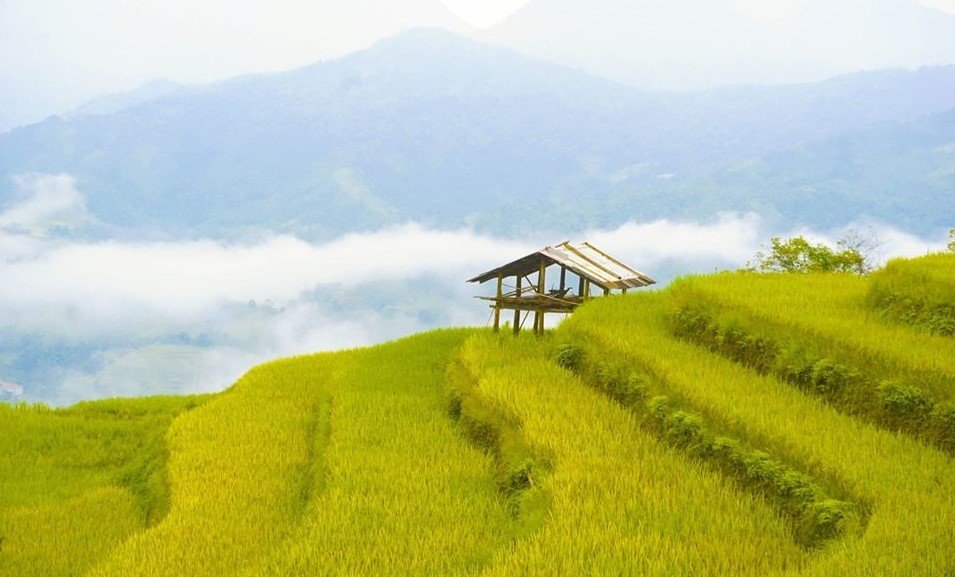 Photography Tour Hunting Terraced Rice Fields and Hill Tribes 10 Days